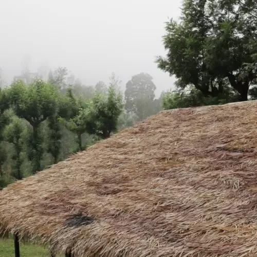 MC Synthetic Thatch Roof
