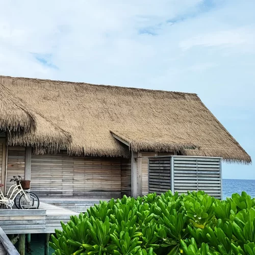 MC Synthetic Thatch Roof