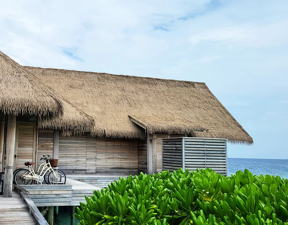 MC Synthetic Thatch Roof