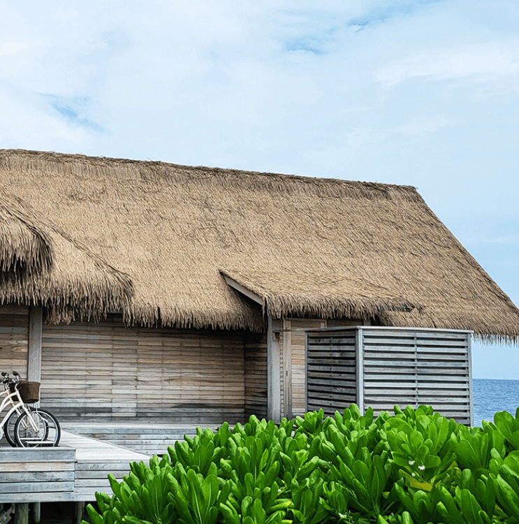 Synthetic Thatch