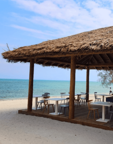 Synthetic Thatch Roof